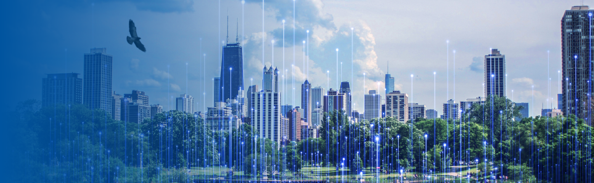 Banner Image NZB Forrester Study